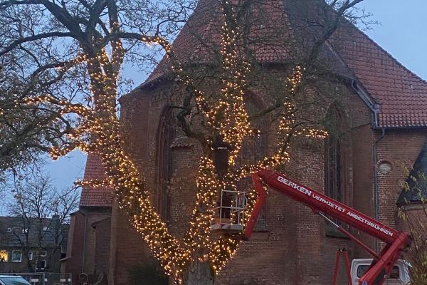 Mitwachsende Lichterketten werden um den Baum gewickelt